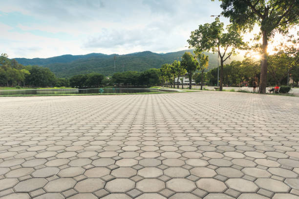 Best Driveway Paving Near Me  in Schenectady, NY